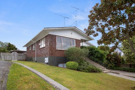 Photo of property in 11 Thornton Street, Putaruru, 3411