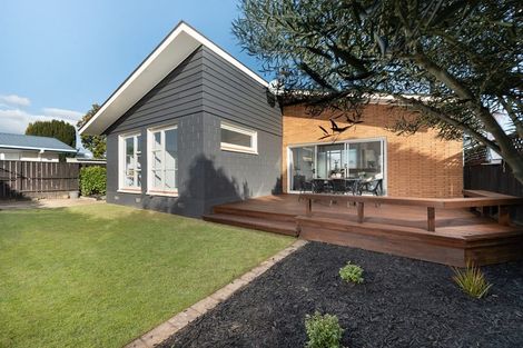 Photo of property in 3a Longwood Lane, Otumoetai, Tauranga, 3110