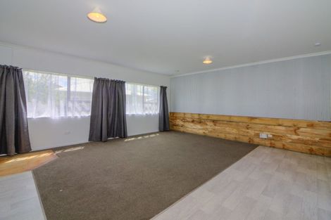 Photo of property in 15 Winchester Street, Levin, 5510