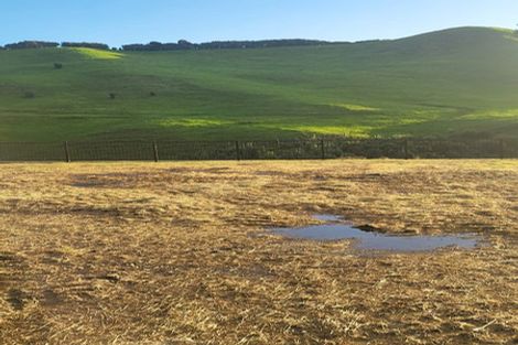 Photo of property in 157 Adler Drive, Ohauiti, Tauranga, 3112