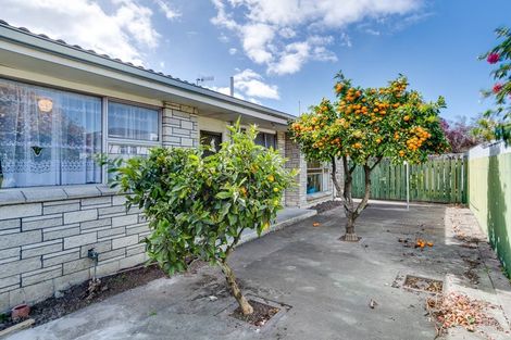 Photo of property in 3/31 Middle Road, Havelock North, 4130