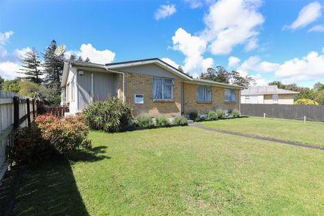 Photo of property in 68 Rosser Street, Huntly, 3700