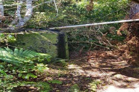 Photo of property in 74 Wangapeka Road, Little Wanganui, Karamea, 7893