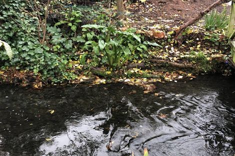 Photo of property in 21 Glandovey Road, Fendalton, Christchurch, 8052