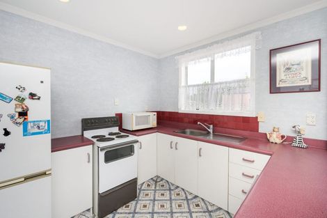 Photo of property in 42 Ihle Street, Terrace End, Palmerston North, 4410