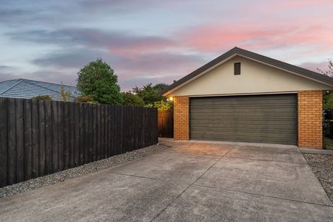 Photo of property in 17 Greenmeadow Gardens, Belfast, Christchurch, 8051