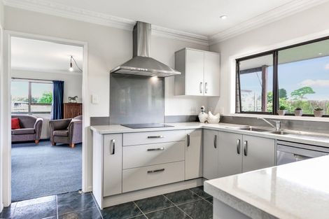 Photo of property in 49 Bellevue Road, Matangi, Hamilton, 3284