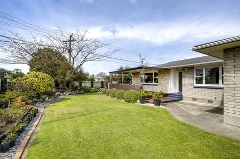 Photo of property in 99 Wycliffe Street, Onekawa, Napier, 4110