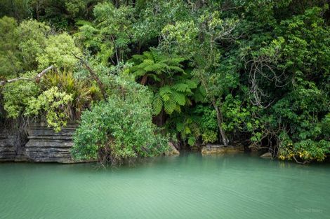 Photo of property in 505 Te Akau Wharf Road, Te Akau, Ngaruawahia, 3793