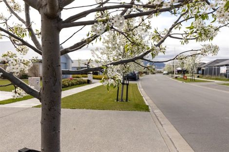 Photo of property in 14 Whitehall Drive, Springlands, Blenheim, 7201