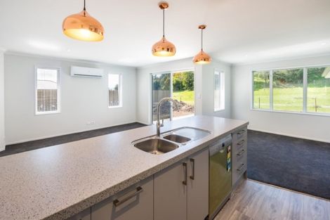 Photo of property in 3 Solomon Place, Witherlea, Blenheim, 7201