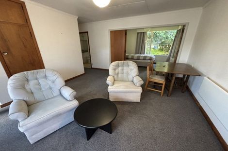 Photo of property in 17 Centennial Drive, Hokowhitu, Palmerston North, 4410