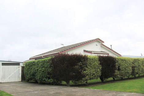 Photo of property in 28 Port Street West, Feilding, 4702