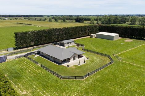 Photo of property in 118 Clevely Line, Bunnythorpe, Palmerston North, 4478