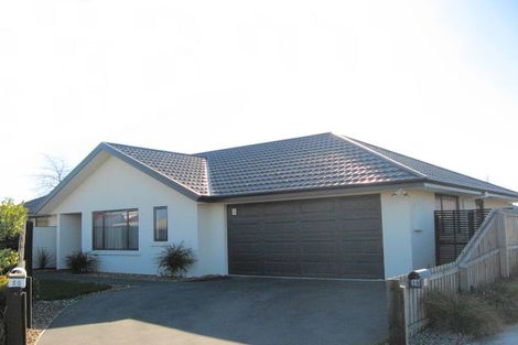 Photo of property in 20 Ballymena Drive, Belfast, Christchurch, 8051