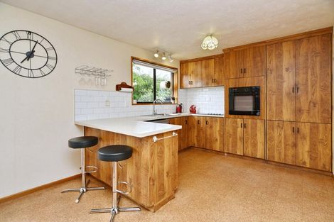 Photo of property in 31 Solomon Avenue, Redwood, Christchurch, 8051