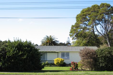 Photo of property in 37 Skerman Street, Marton, 4710