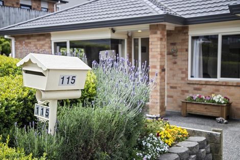 Photo of property in 115 Valley Road, Pukekohe, 2120