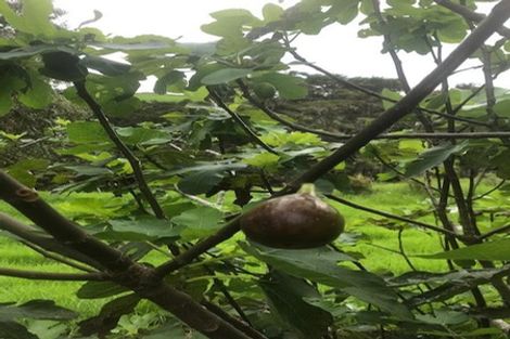 Photo of property in 642 Matapouri Road, Matapouri, Whangarei, 0173