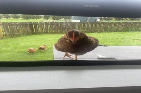 Photo of property in 64 Pukekauri Road, Waikino, Waihi, 3682