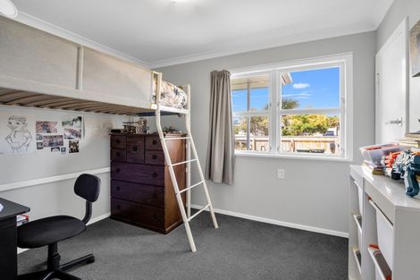 Photo of property in 17 Ferguson Street, Levin, 5510