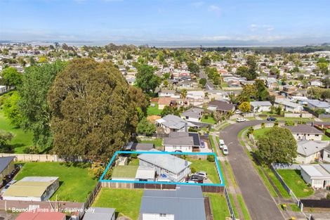 Photo of property in 17 Romney Place, Manurewa, Auckland, 2102