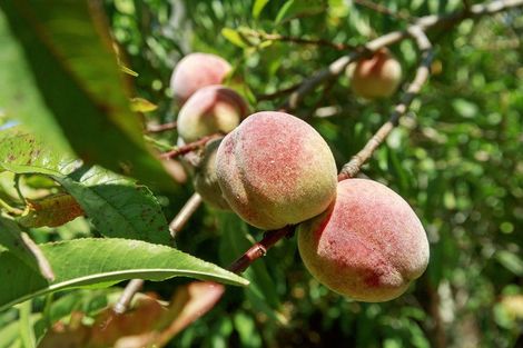 Photo of property in 18 Rossiter Street, Tawa, Wellington, 5028