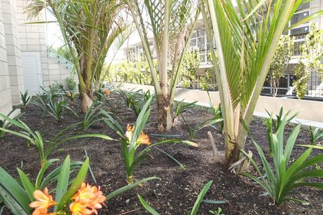 Photo of property in 13 Bickerton Way, Flat Bush, Auckland, 2019