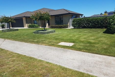 Photo of property in 17 Rowan Place, Witherlea, Blenheim, 7201