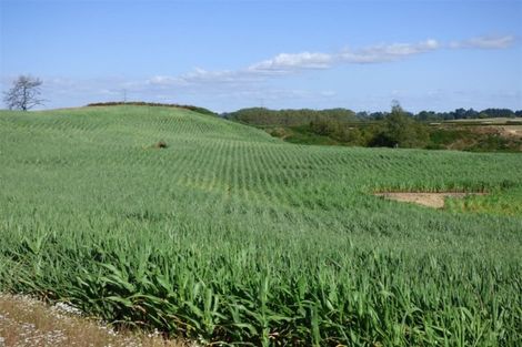 Photo of property in 336 Grove Road, Te Pahu, Hamilton, 3285