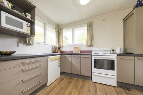 Photo of property in 95 Winchester Street, Ashhurst, 4810