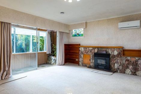 Photo of property in 51 Dillon Street, Blenheim, 7201