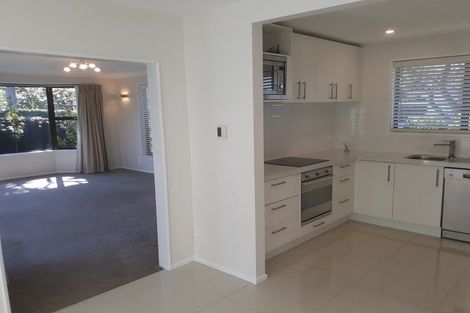 Photo of property in 17 Norfolk Street, St Albans, Christchurch, 8052