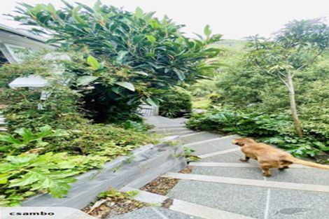 Photo of property in 32 Evans Pass Road, Sumner, Christchurch, 8081