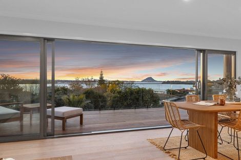 Photo of property in 359 Maungatapu Road, Maungatapu, Tauranga, 3112