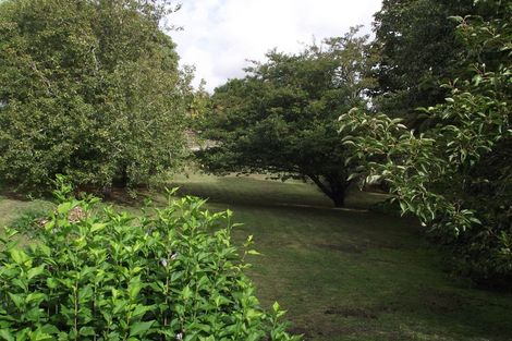 Photo of property in 22 Clarke Street, Waihi, 3610