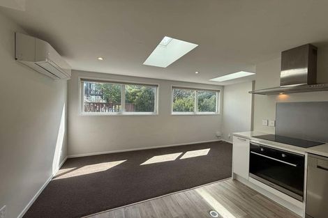 Photo of property in 100 Aro Street, Aro Valley, Wellington, 6021