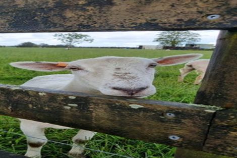 Photo of property in 125 Waiare Road, Okaihau, 0475