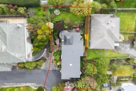 Photo of property in 16 Napier Street, Belleknowes, Dunedin, 9011