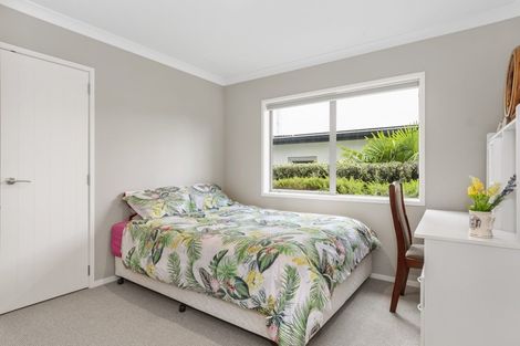 Photo of property in 43 Grange Road, Otumoetai, Tauranga, 3110