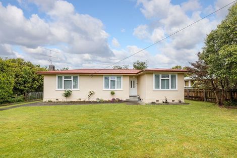 Photo of property in 56 Revans Street, Featherston, 5710