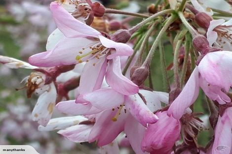 Photo of property in 145 Karanga Road, Dunsandel, Leeston, 7682