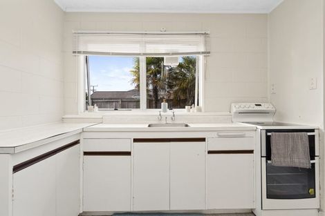 Photo of property in 45 York Street, Hamilton East, Hamilton, 3216