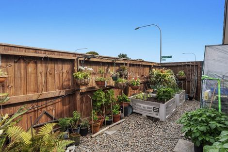 Photo of property in 2 Korimako Place, Coastlands, Whakatane, 3120