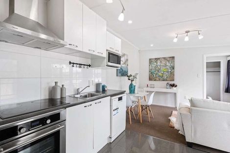 Photo of property in 259b Mount Albert Road, Wesley, Auckland, 1041