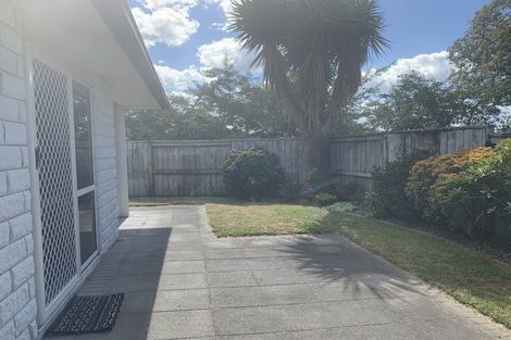 Photo of property in 46 Raukawa Drive, Bethlehem, Tauranga, 3110