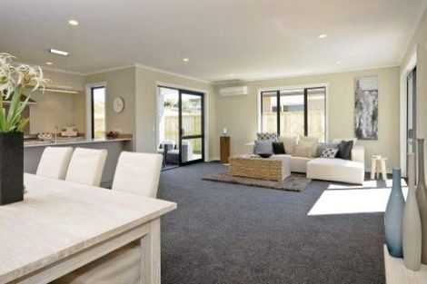 Photo of property in 19 Meadowfield Street, Flagstaff, Hamilton, 3210