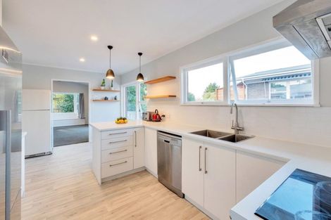 Photo of property in 25 Moloney Terrace, Pukekohe, 2120