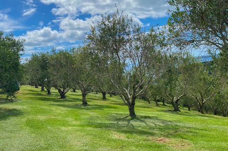 Photo of property in 25 Delamore Drive, Oneroa, Waiheke Island, 1081