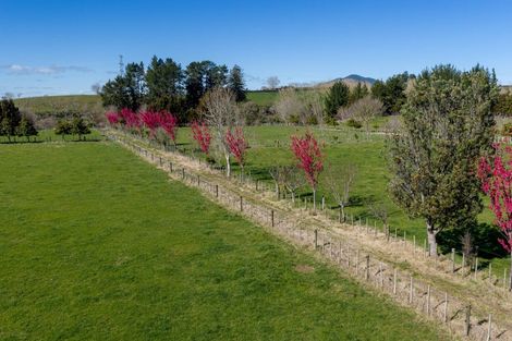 Photo of property in 101 Ormsby Road, Pirongia, Te Awamutu, 3876